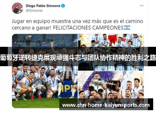 葡萄牙逆转捷克展现顽强斗志与团队协作精神的胜利之路