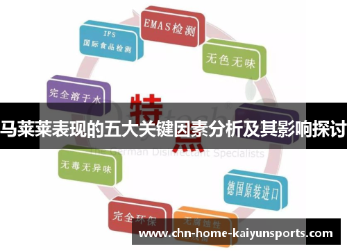 马莱莱表现的五大关键因素分析及其影响探讨