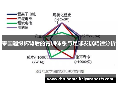 泰国超级杯背后的青训体系与足球发展路径分析