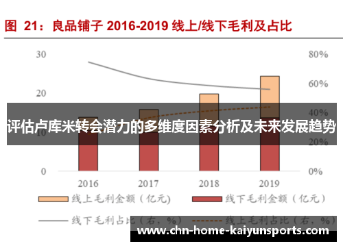 评估卢库米转会潜力的多维度因素分析及未来发展趋势