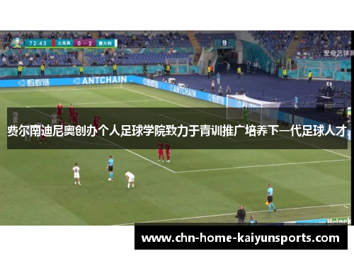 费尔南迪尼奥创办个人足球学院致力于青训推广培养下一代足球人才