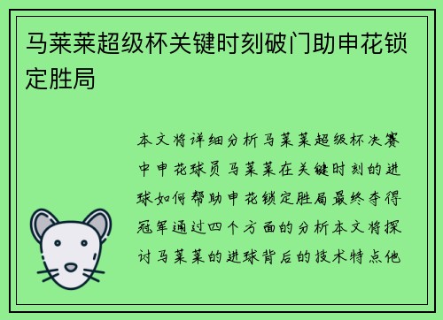 马莱莱超级杯关键时刻破门助申花锁定胜局