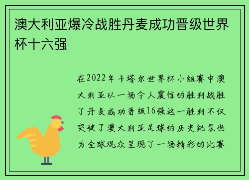 澳大利亚爆冷战胜丹麦成功晋级世界杯十六强 澳大利亚爆冷战胜丹麦成功晋级世界杯十六强