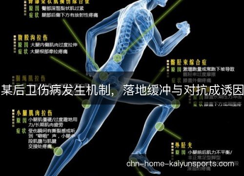 某后卫伤病发生机制,落地缓冲与对抗成诱因 某后卫伤病发生机制,落地缓冲与对抗成诱因